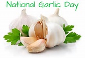 National Garlic Day